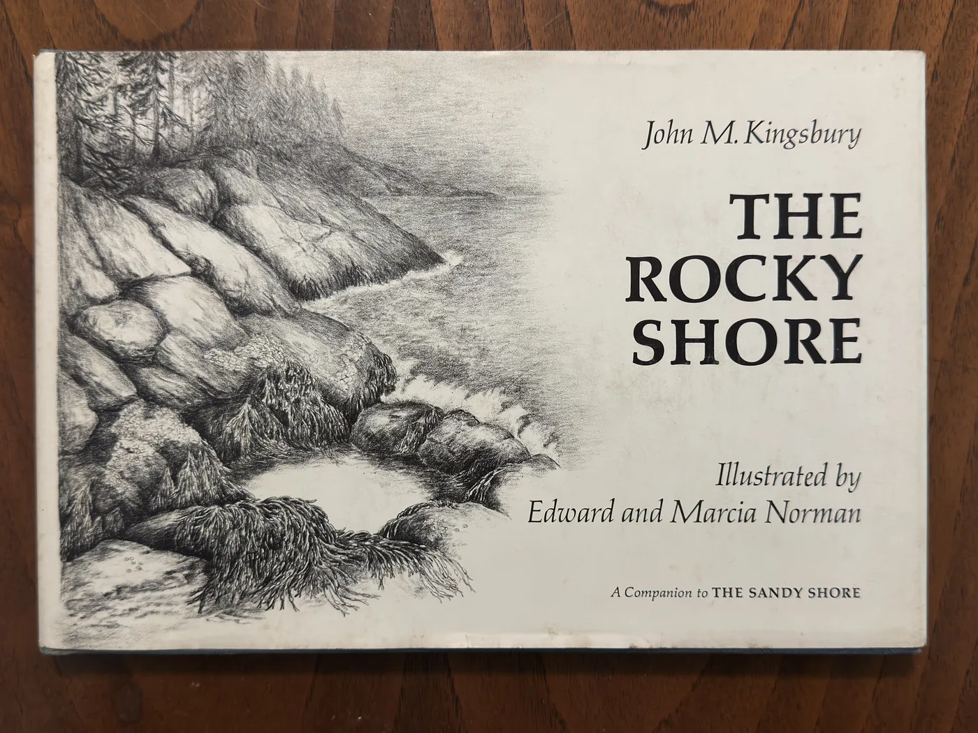The Rocky Shore — Front Cover