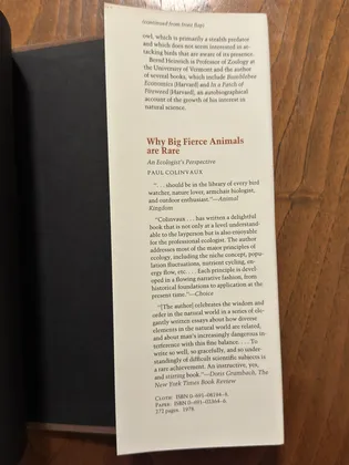 Back Flap