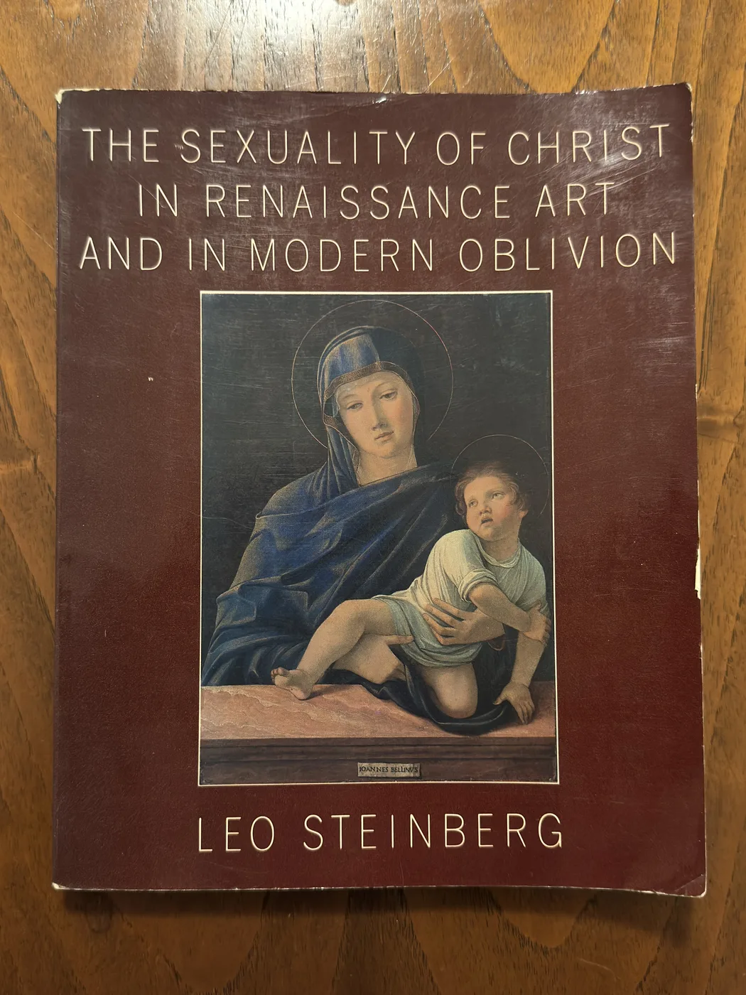 The Sexuality of Christ in Renaissance Art and in Modern Oblivion — Front Cover