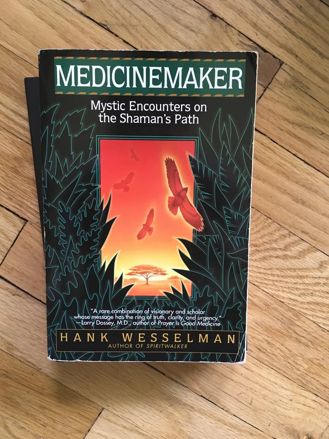 Medicinemaker: Mystic Encounters on the Shaman's Path — Front Cover