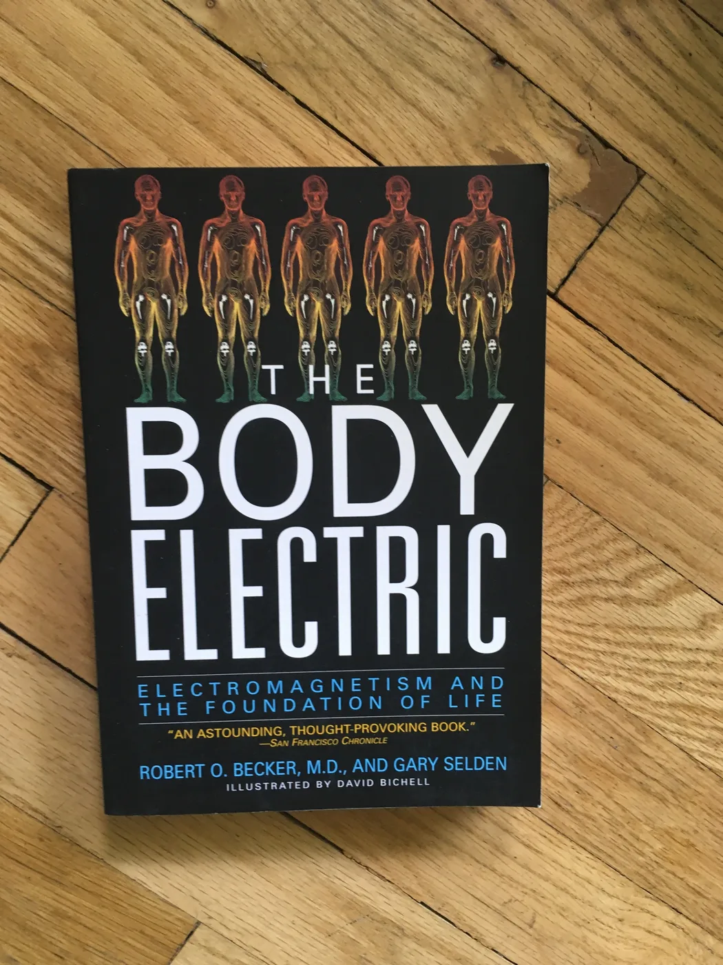 The Body Electric: Electromagnetism and the Foundation of Life — Front Cover