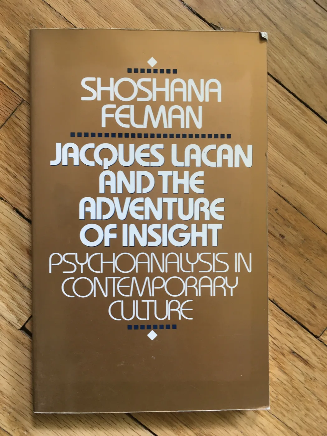 Jacques Lacan and the Adventure of Insight: Psychoanalysis in Contemporary Culture — Front Cover