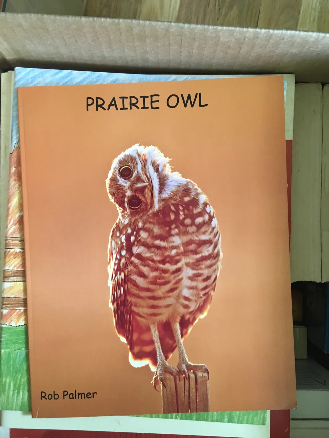 Prairie Owl — Front Cover