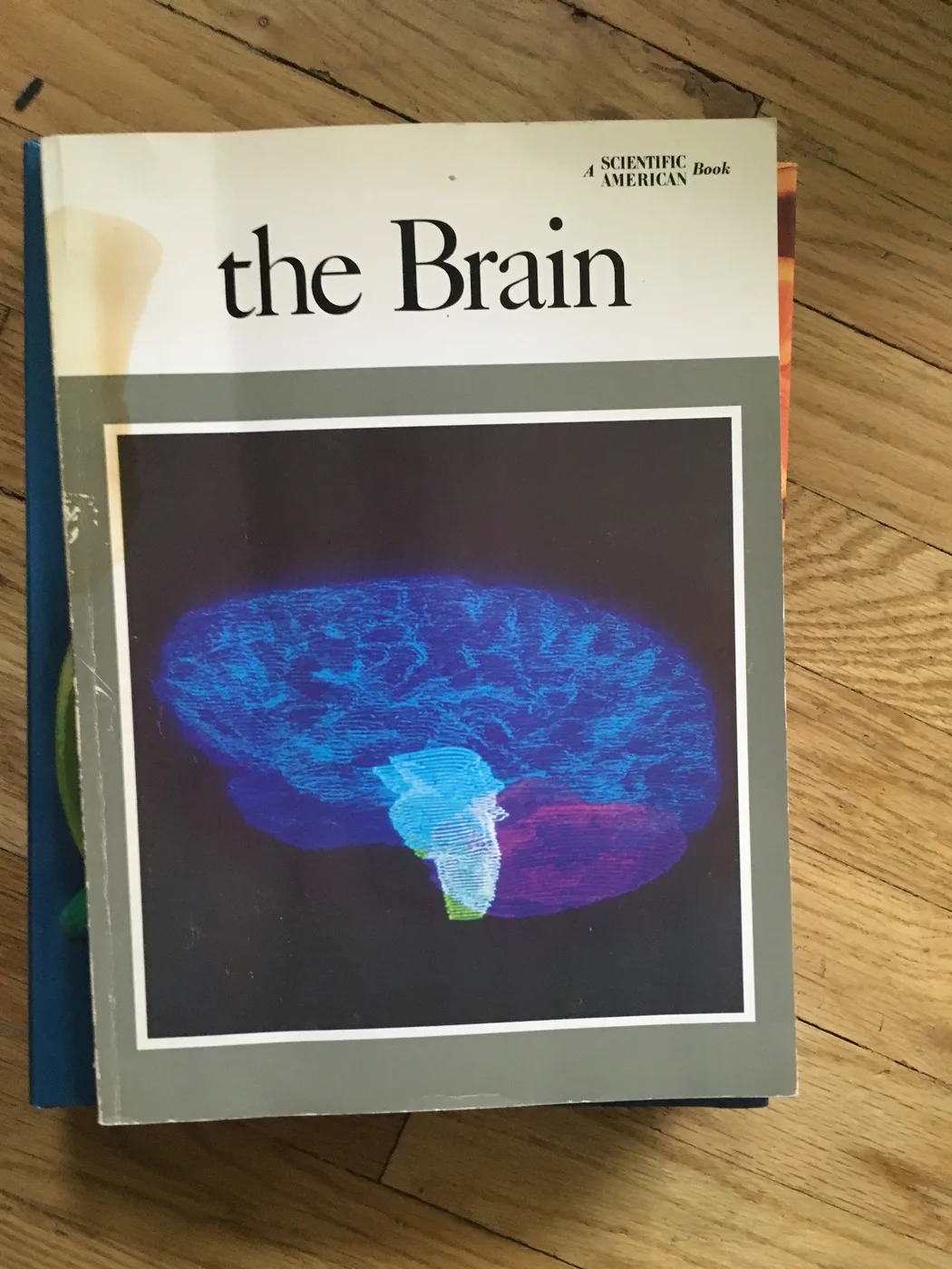 The Brain (A Scientific American Book) — Front Cover