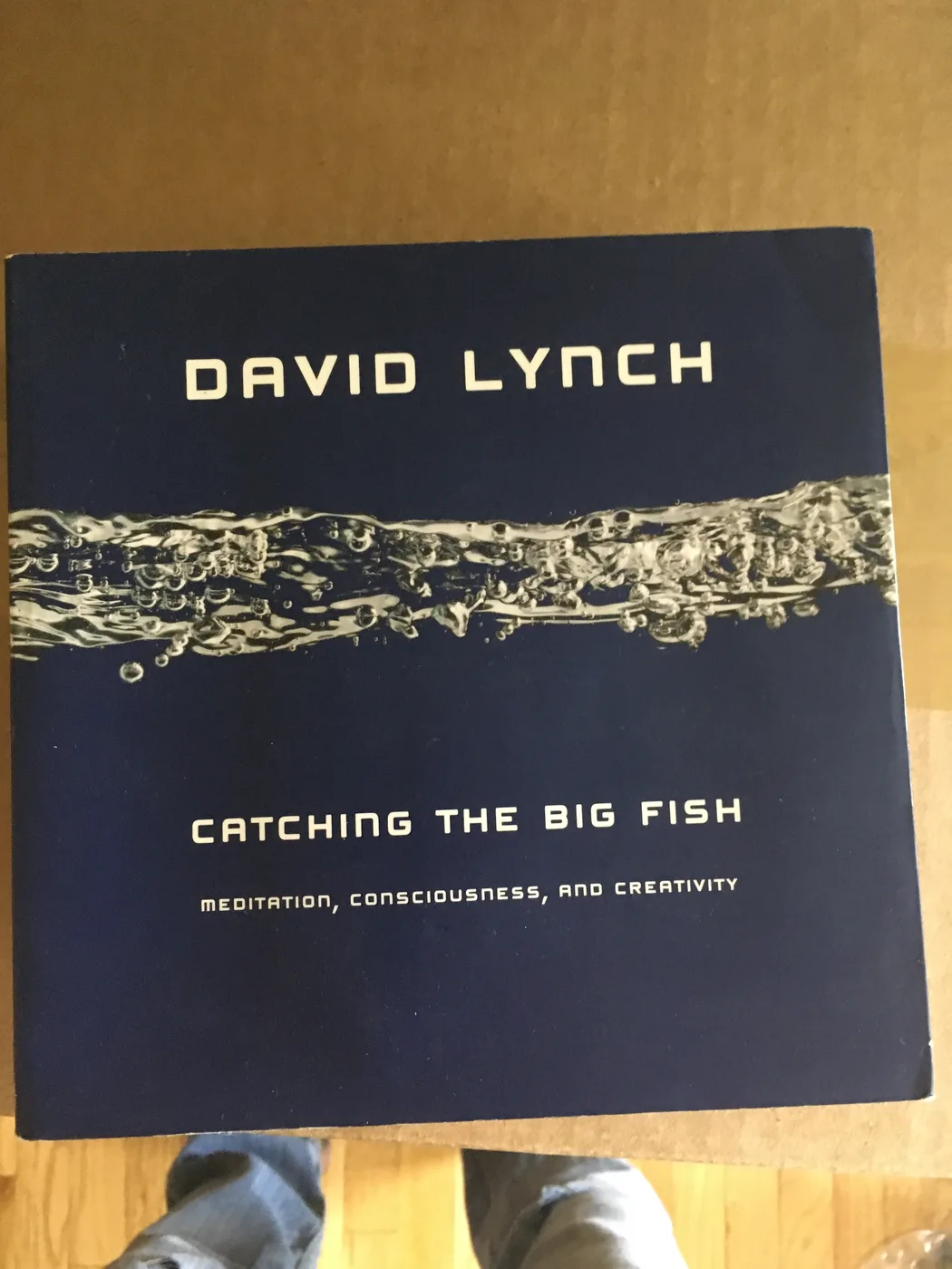 Catching the Big Fish: Meditation, Consciousness, and Creativity — Front Cover